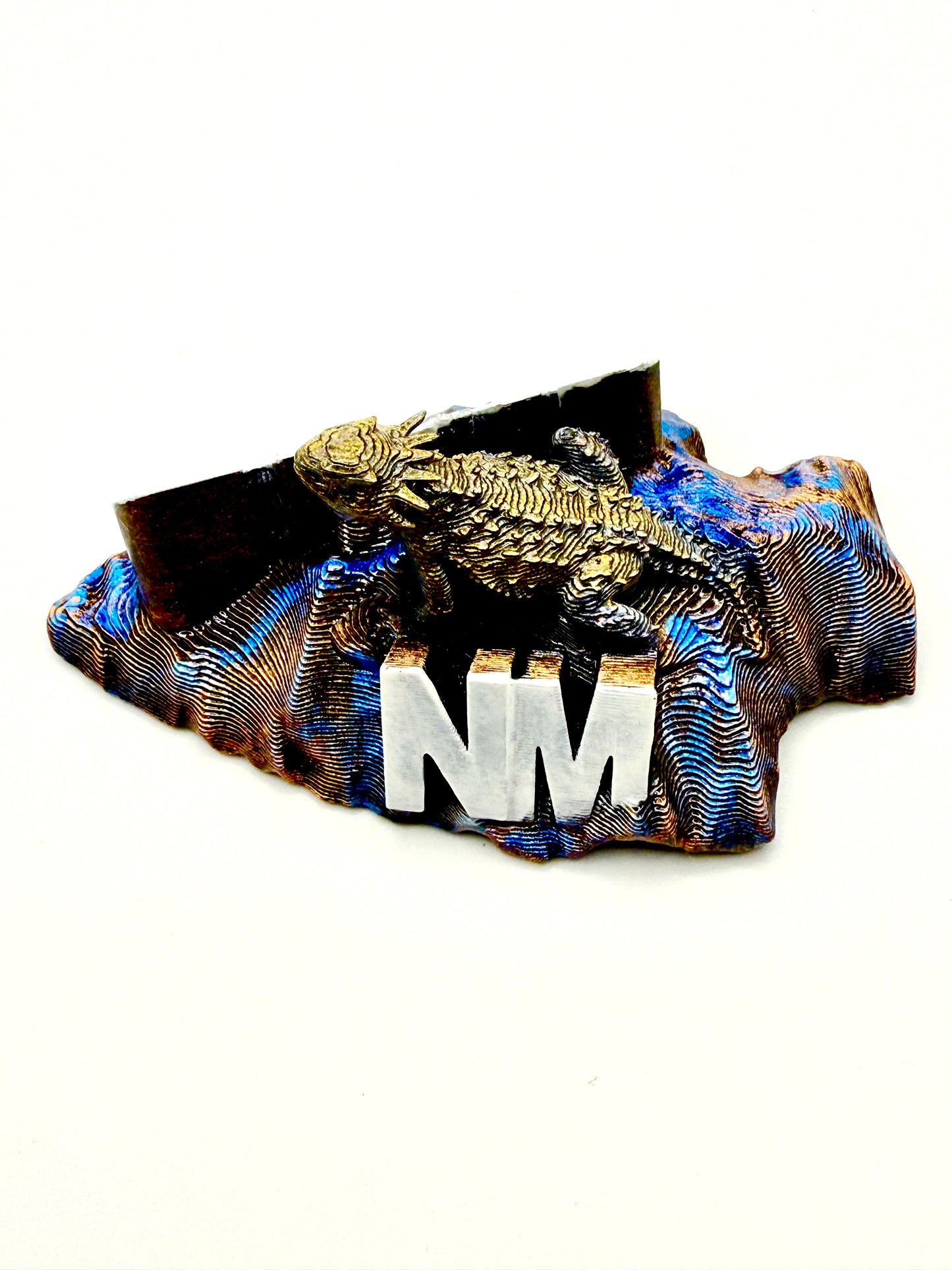 Arrowhead horned toad Gallup New Mexico