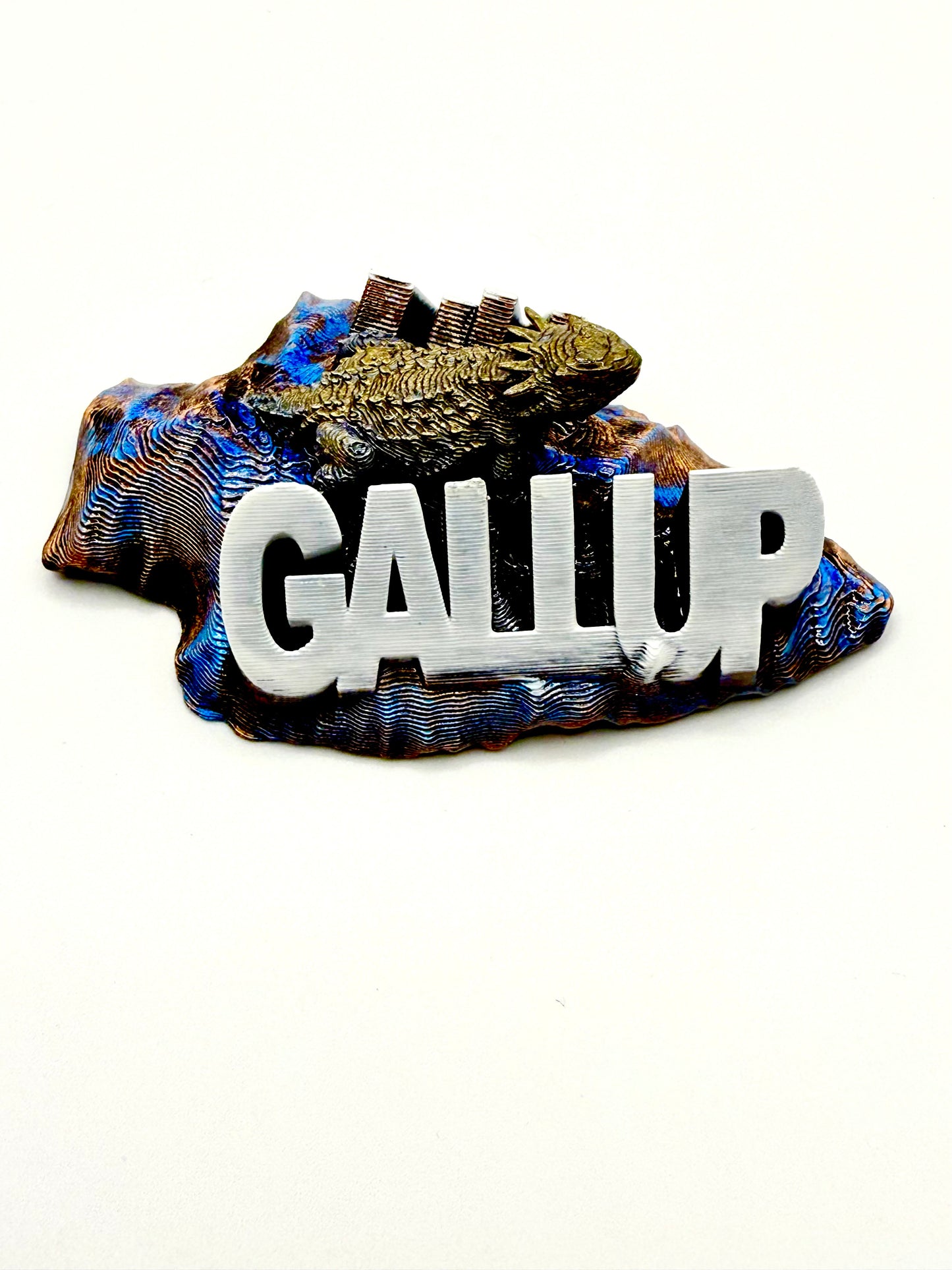 Arrowhead horned toad Gallup New Mexico