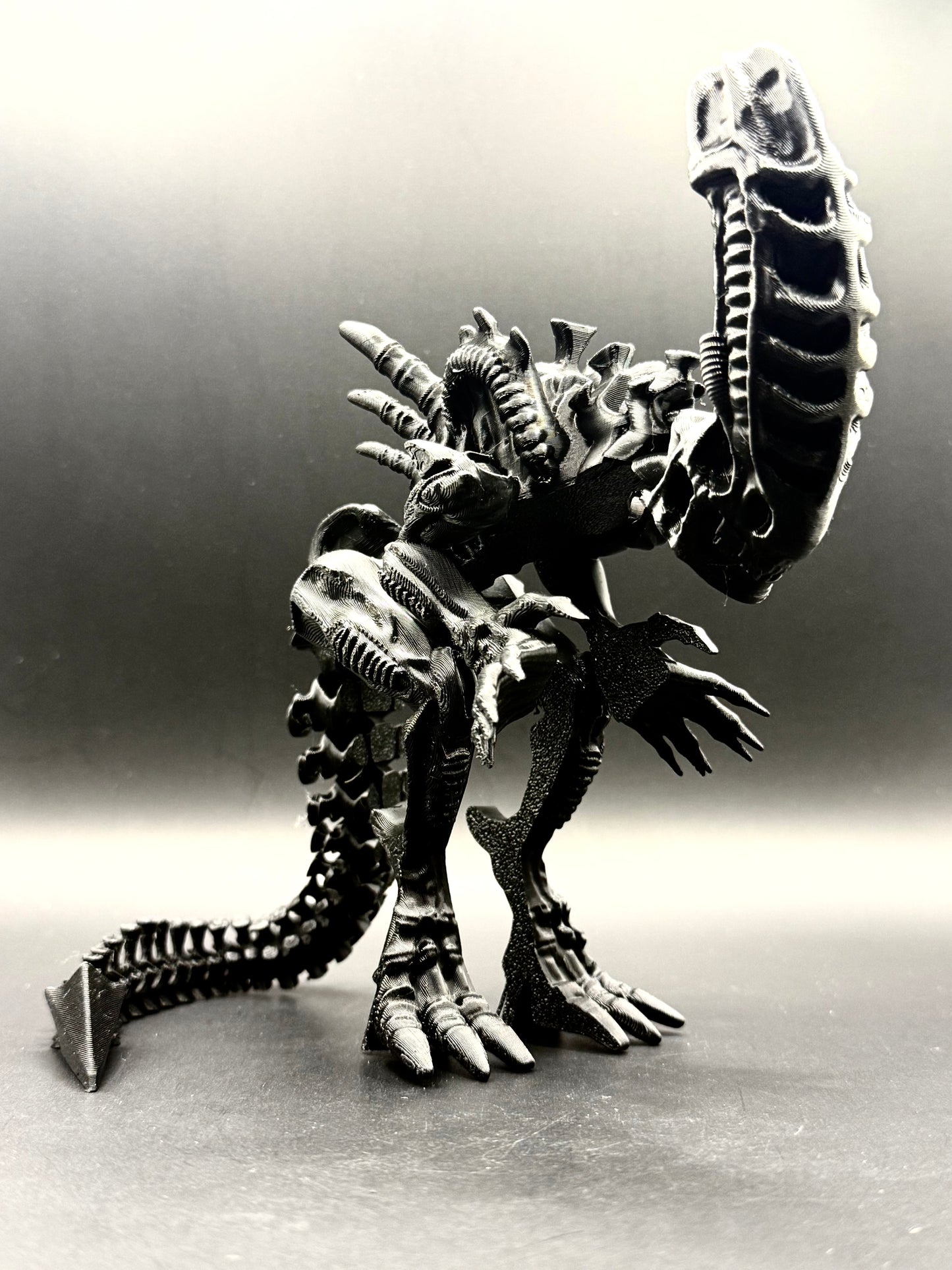 Alien Xenomorph vs Alien Queen