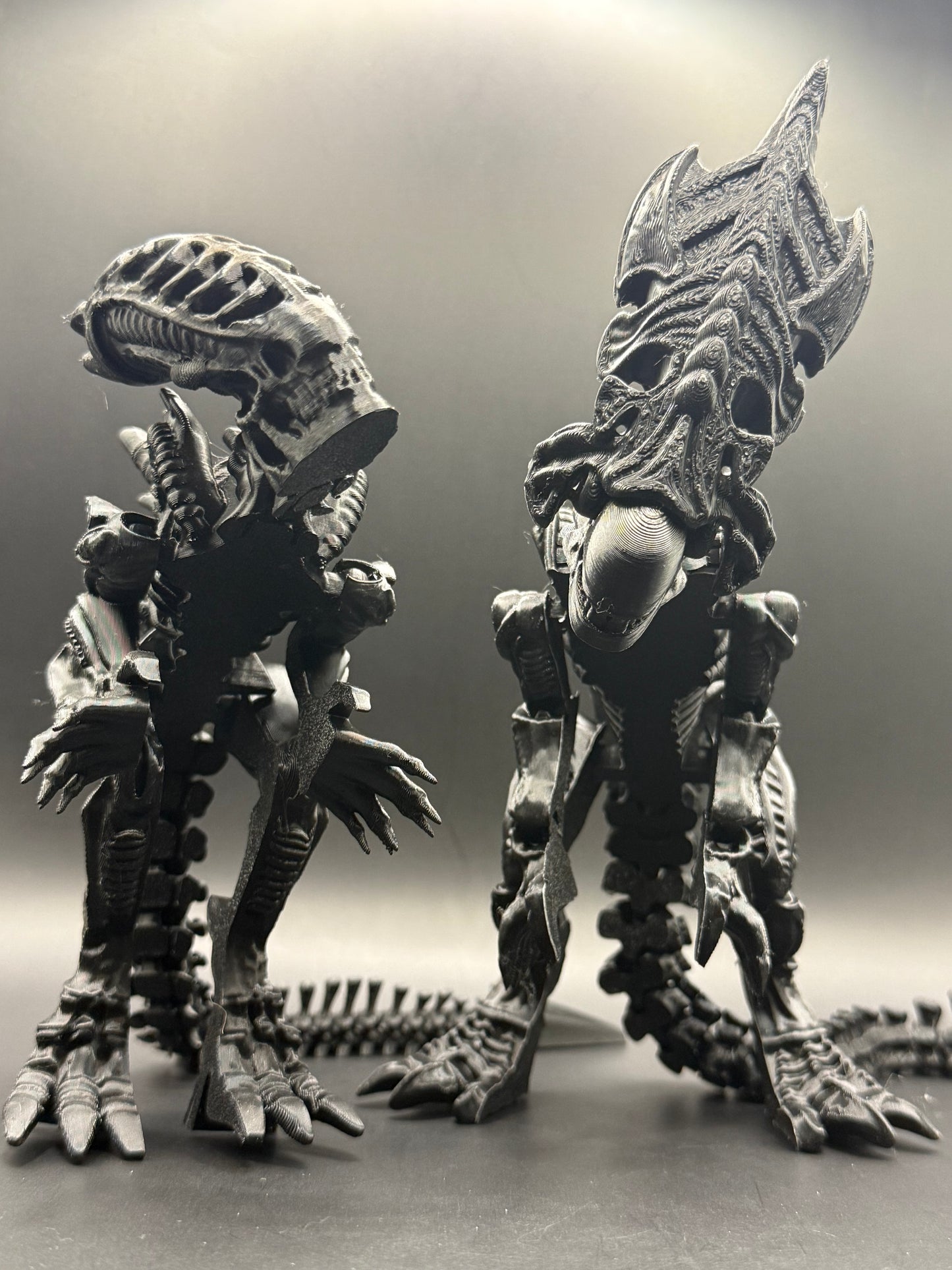 Alien Xenomorph vs Alien Queen