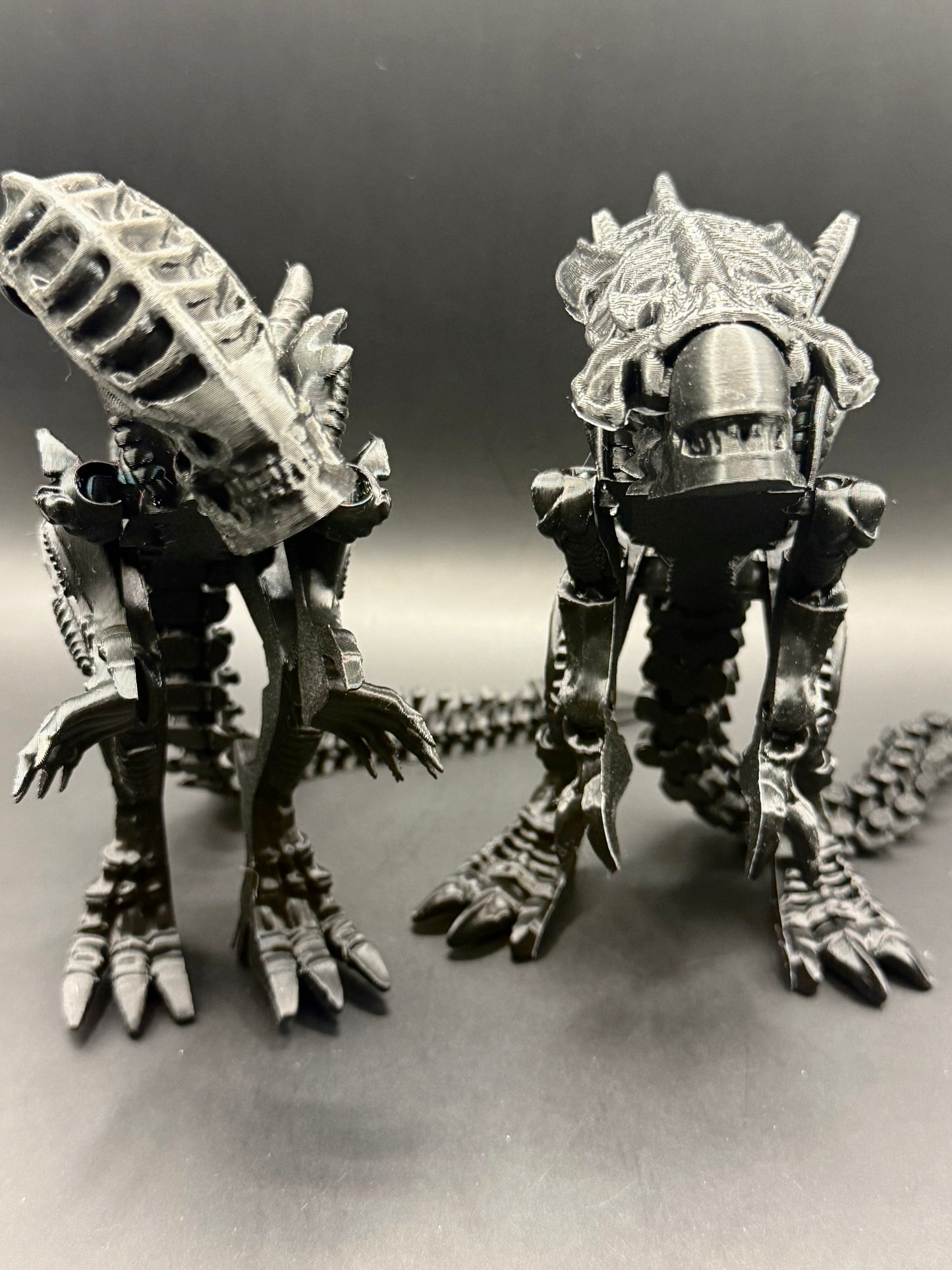 Alien Xenomorph vs Alien Queen