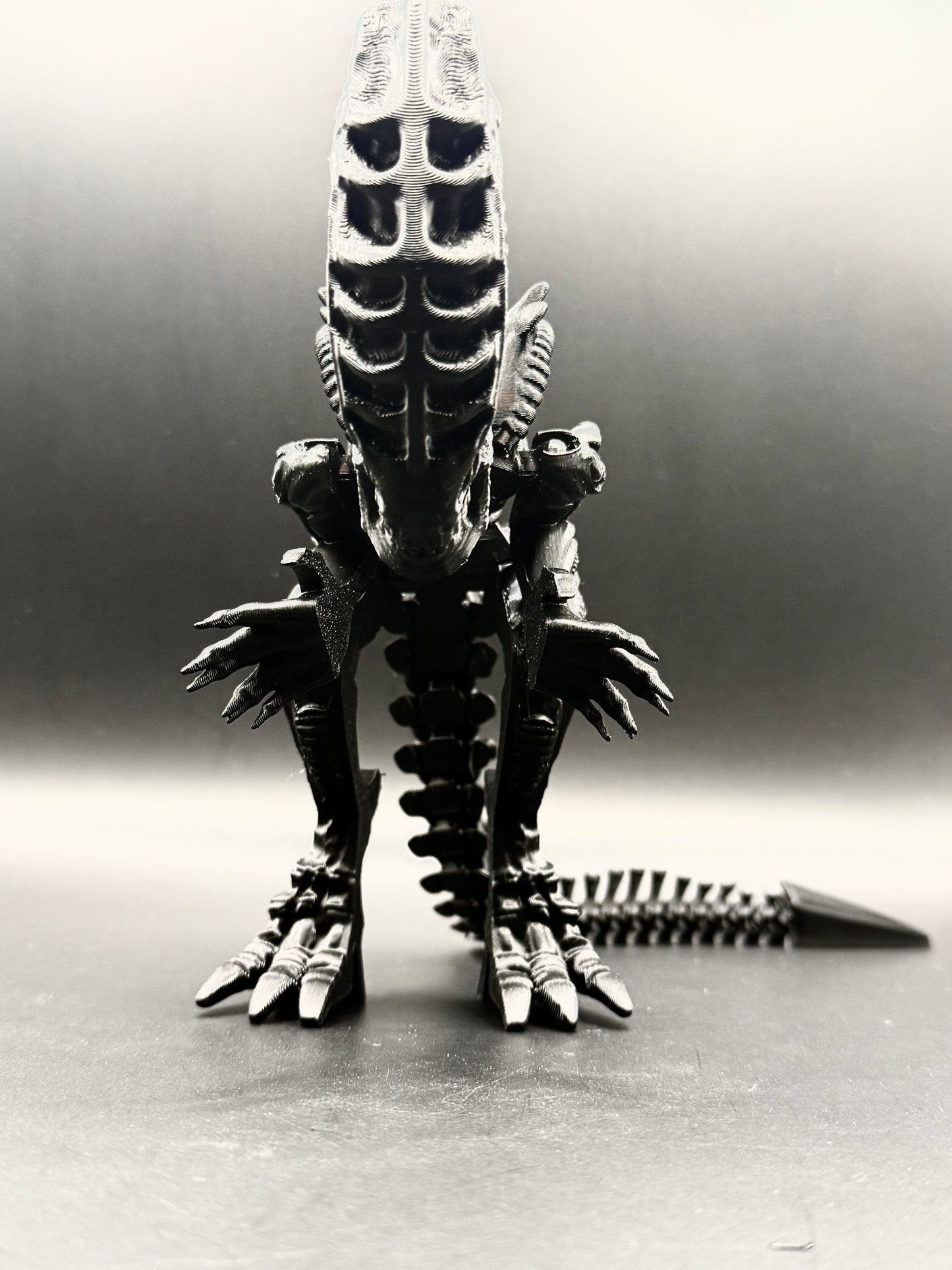 Alien Xenomorph vs Alien Queen