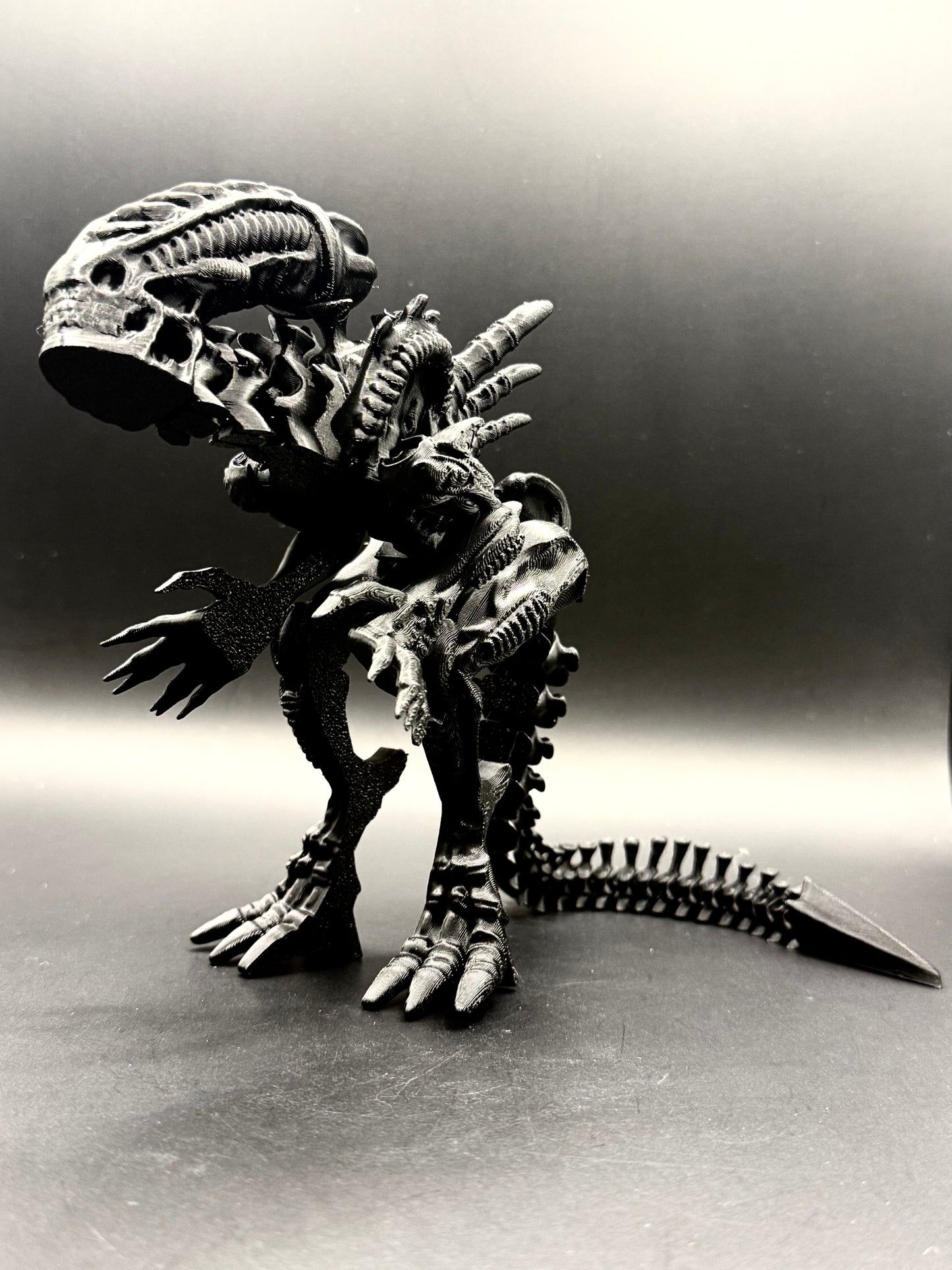 Alien Xenomorph vs Alien Queen